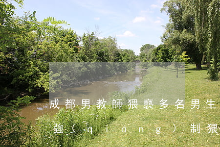 成都男教師猥褻多名男生被判8年 2022強(qiáng)制猥褻罪量刑標(biāo)準(zhǔn)