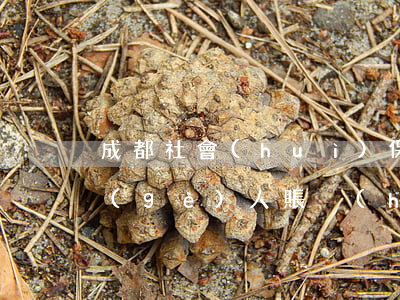 成都社會(huì)保險(xiǎn)卡個(gè)人賬戶(hù)如何查詢(xún)（社會(huì)保險(xiǎn)與商業(yè)保險(xiǎn)的主要區(qū)別）
