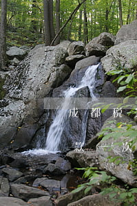 成都税务逾期多久罚款(成都税务逾期多久罚款一次)