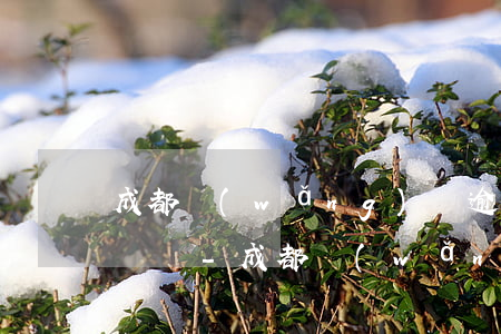 成都網(wǎng)貸逾期信用卡逾期法律顧問-成都網(wǎng)貸逾期信用卡逾期法律顧問電話