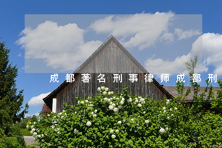 成都著名刑事律师(成都刑事第一大律师)