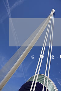 成都處理追回債務(wù)律師