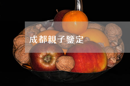 成都親子鑒定