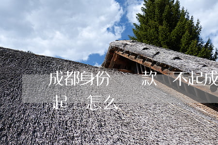 成都身份證貸款還不起(成都身份證貸款還不起會怎么樣)