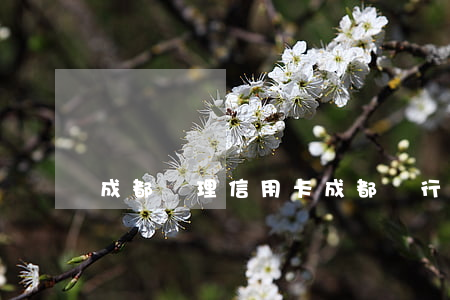成都辦理信用卡(成都銀行信用卡辦理)