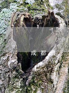 成都農(nóng)商信用卡利息 四川農(nóng)商銀行信用卡