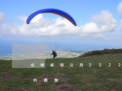 成都逾期交房2022(成都2022年交房的樓盤)