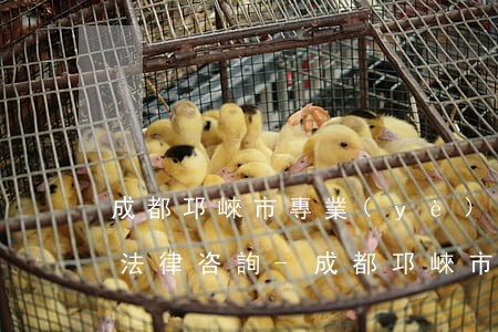 成都邛崍市專業(yè)債務(wù)律師法律咨詢-成都邛崍市專業(yè)債務(wù)律師法律咨詢電話