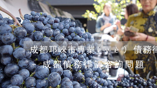 成都邛崍市專業(yè)債務律師怎么委托-成都債務律師咨詢問題