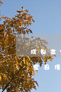 成都金堂县债权债务律师风险代理-成都金堂县债权债务律师风险代理公司