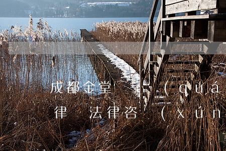 成都金堂縣債權(quán)債務(wù)律師法律咨詢(xún)-成都金堂縣債權(quán)債務(wù)律師法律咨詢(xún)電話(huà)