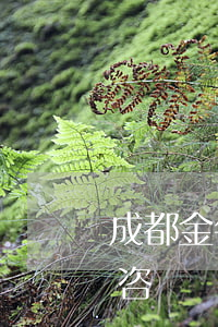 成都金牛區(qū)債務(wù)合同律師咨詢電話-成都金牛區(qū)律師免費(fèi)咨詢