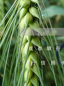 成都銀行信用卡停息掛賬如何還款-成都銀行信用卡停息掛賬如何還款的