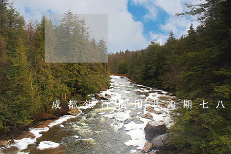 成都銀行信用卡逾期七八次(信用卡7萬逾期)
