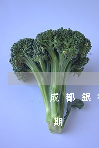 成都銀行信用卡逾期了(欠多家銀行信用卡逾期)