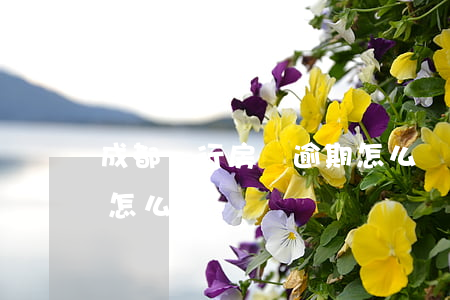 成都銀行房貸逾期怎么辦(成都銀行房貸逾期怎么辦)
