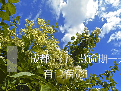 成都銀行貸款逾期一天(成都銀行貸款一天沒還有沒有影響)
