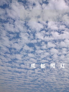 成都闖紅燈扣幾分(成都闖紅燈扣幾分)