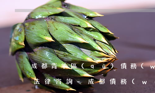 成都青羊區(qū)債務(wù)合同律師法律咨詢-成都債務(wù)律師咨詢問題