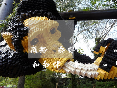 成都頂泰律師事務(wù)所怎么樣(成都泰和泰律師事務(wù))