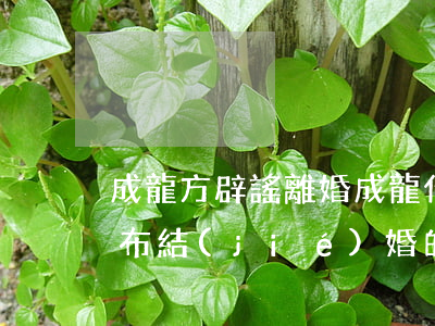 成龍方辟謠離婚(成龍什么時(shí)候公布結(jié)婚的)