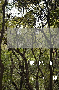 成龍百年之后，吳卓林有望分得遺產(chǎn)！律師點評30億財產(chǎn)去向