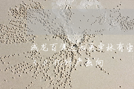 成龙百年之后，吴卓林有望分得遗产！律师点评30亿财产去向
