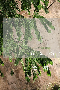 我2张信用卡逾期次数13次(好几张信用卡逾期)