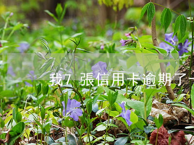 我7張信用卡逾期了十幾萬怎么辦