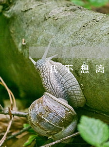 我不想离婚怎么挽回