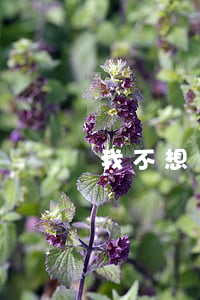 我不想離婚但又過(guò)不下去怎么辦