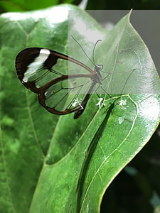 我不想離婚但還能怎么辦