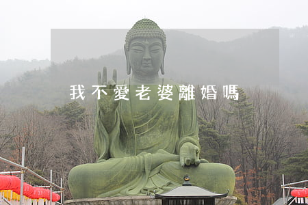 我不愛老婆離婚嗎