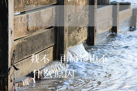 我不會再碰她也不會離婚(不離婚也不碰你是什么原因)