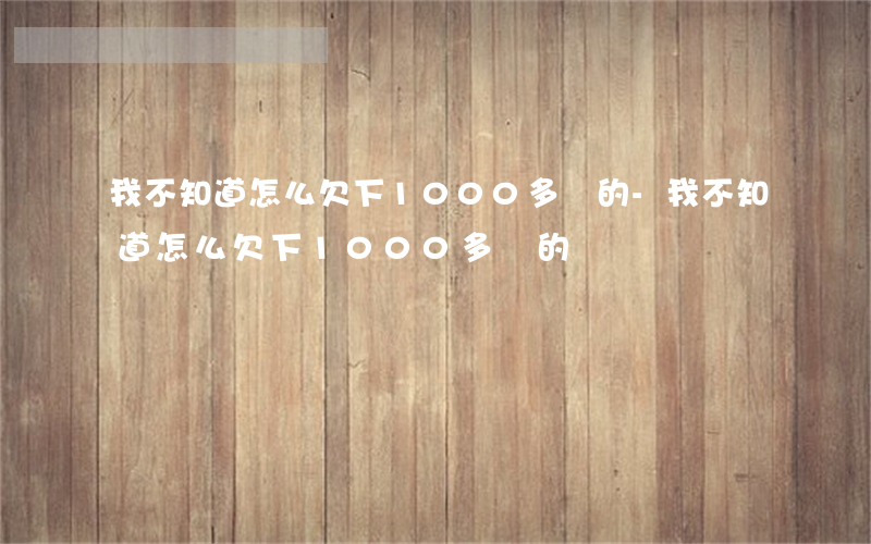 我不知道怎么欠下1000多萬的-我不知道怎么欠下1000多萬的錢