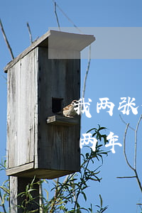 我两张信用卡各逾期3万(三千块信用卡逾期两年)
