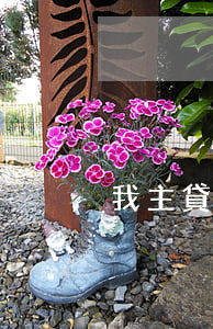 我主貸老婆信用卡有逾期5次