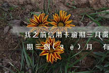 我之前信用卡逾期三月還能申請嗎（信用卡逾期三個(gè)月沒有還銷卡）