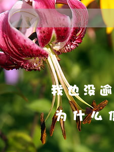 我也没逾期过信用卡办不了呢(征信没有逾期为什么信用卡办不下来)