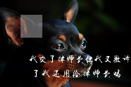 我交了律师费但我又撤诉了(打官司对方撤诉了我还用给律师费吗)