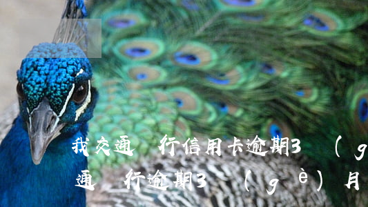 我交通銀行信用卡逾期3個(gè)月了(交通銀行逾期3個(gè)月可以先還一些這樣嗎?)
