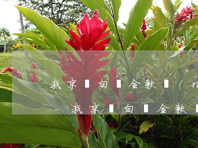 我京東白條全款買(mǎi)的能分期還款-我京東白條全款買(mǎi)的能分期還款嗎