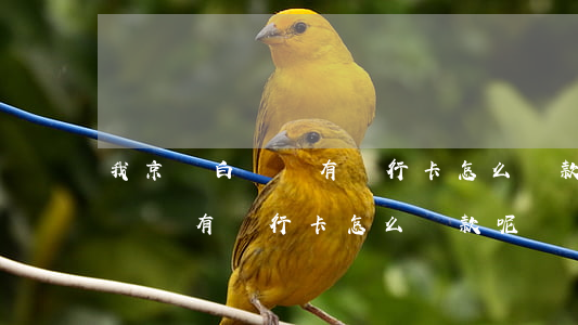 我京東白條沒有銀行卡怎么還款-我京東白條沒有銀行卡怎么還款呢