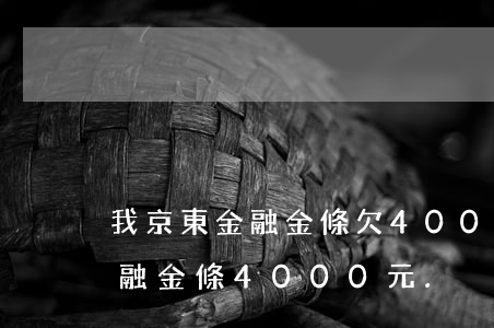 我京東金融金條欠4000怎么辦(欠京東金融金條4000元.沒有償還能力了)