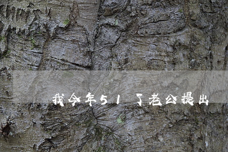 我今年51了老公提出離婚怎么辦