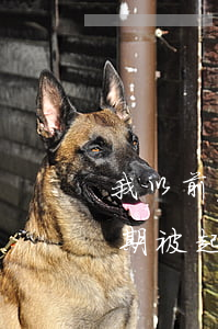 我以前房貸逾期被法院起訴過(有沒有房貸逾期被起訴的)
