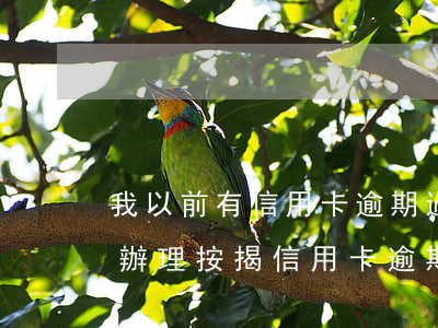 我以前有信用卡,逾期過(guò)還能不能辦理按揭（信用卡逾期還上還能套出來(lái)嗎）