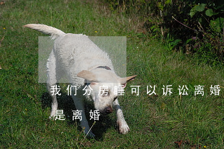 我们分房睡可以诉讼离婚吗(分房睡的结果就是离婚)
