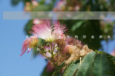 我们如何避免网贷逾期 我们如何避免网贷逾期的发生