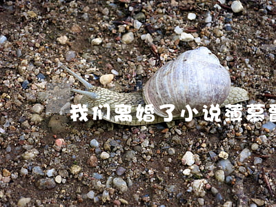 我们离婚了小说薄慕爵